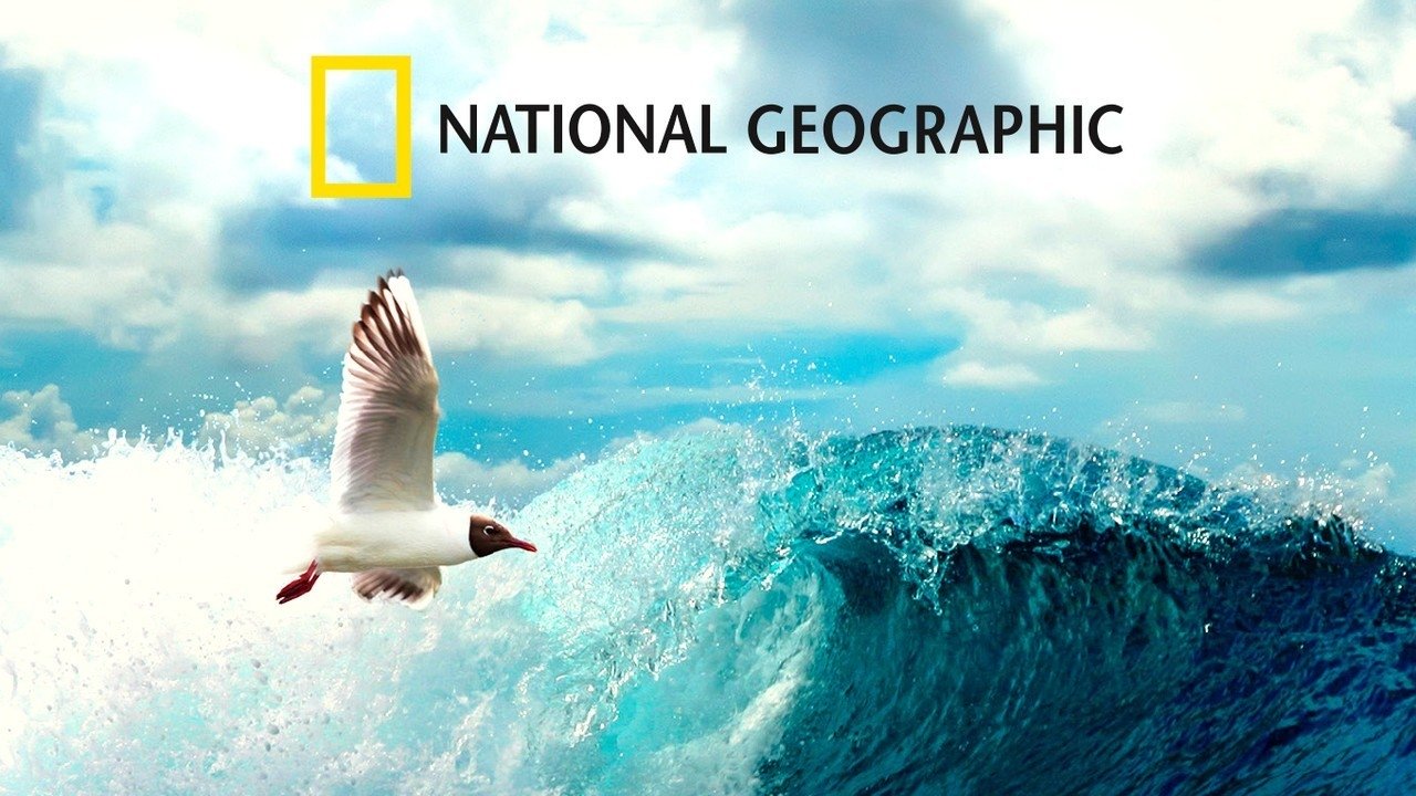 Скріншот